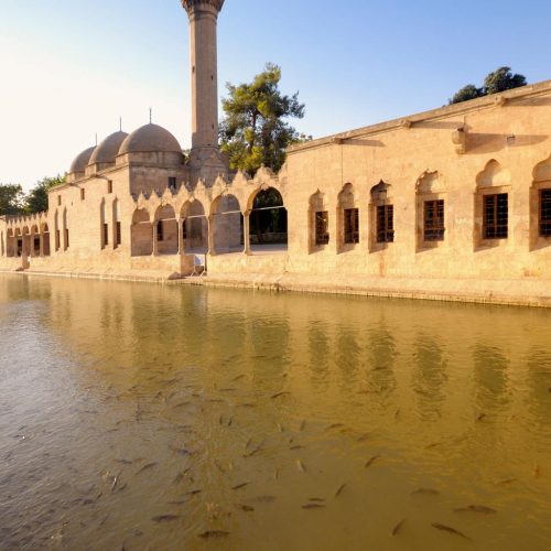 LxmfjMUeCUj_QAdeJjjEZ42x3vyusG6rjCNBGzn-YqgabPoZg2_jSaD-l7pc5yTB41KeV5oN0R_8so-dGzGjjAGAErW3JbxiuyT6d1b39tg